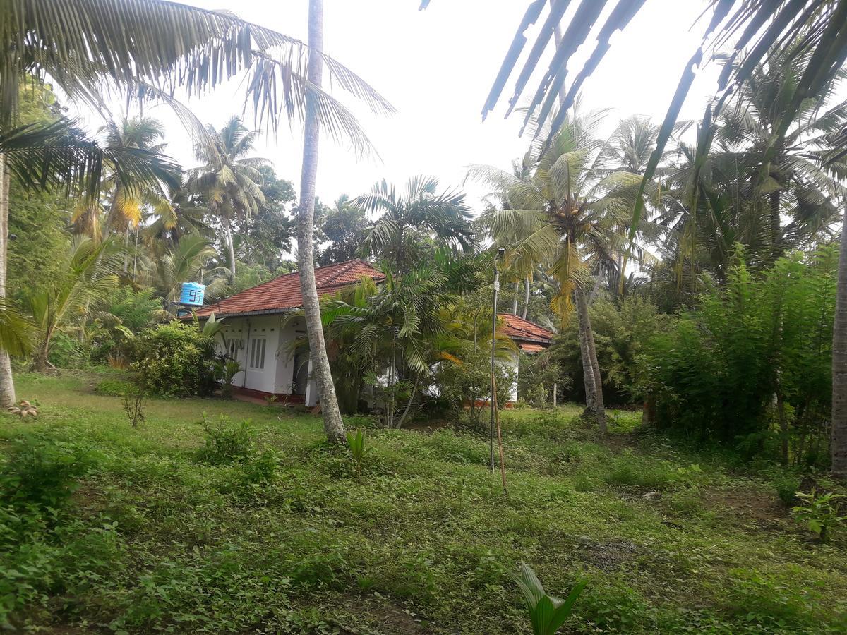 International Meditation Center Mirissa Ngoại thất bức ảnh