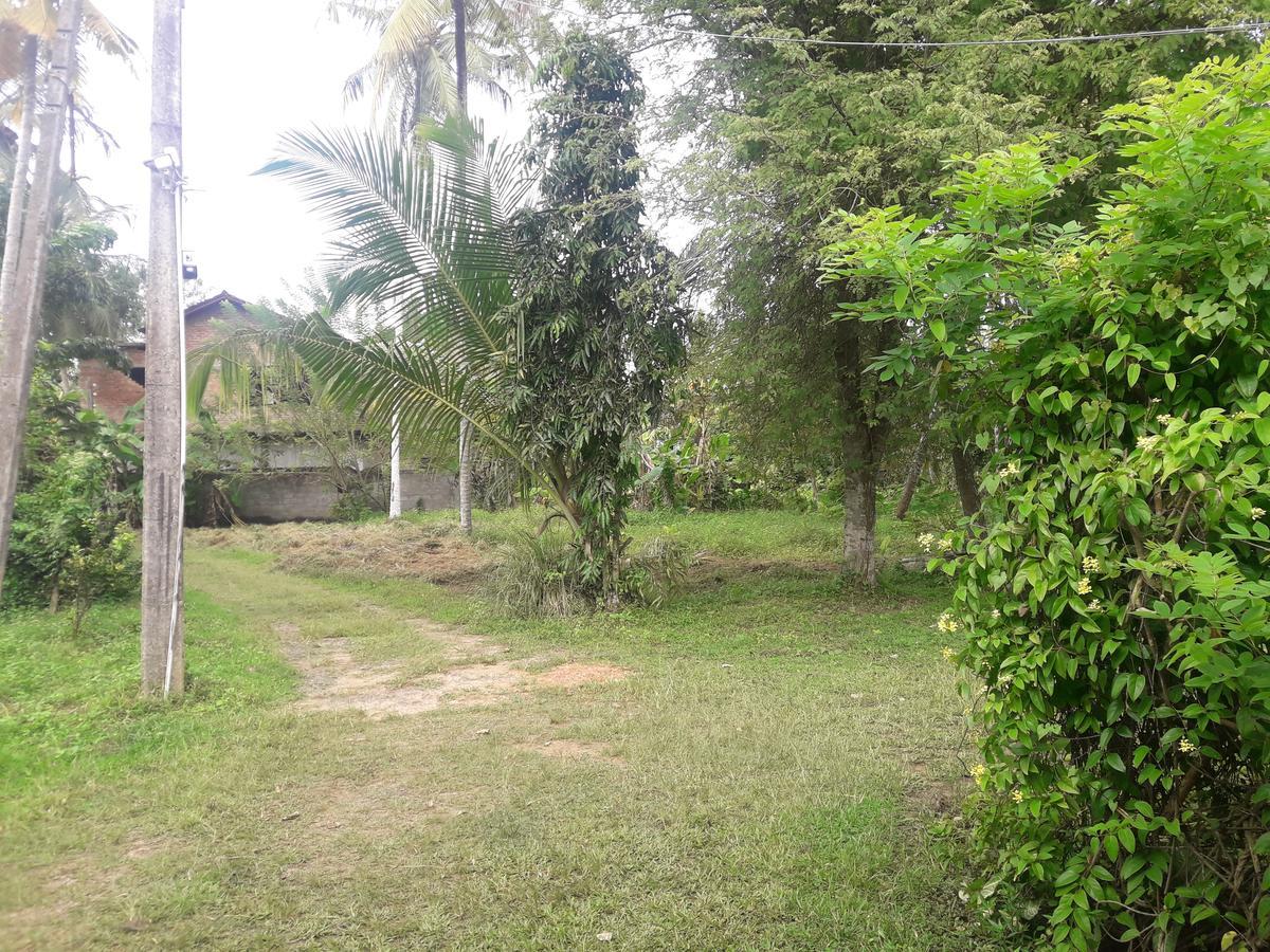 International Meditation Center Mirissa Ngoại thất bức ảnh